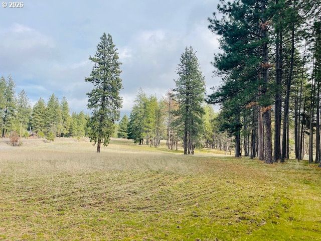 Primary listing photo, Orchard Heights RD #Lot 1, Goldendale, WA, 98620