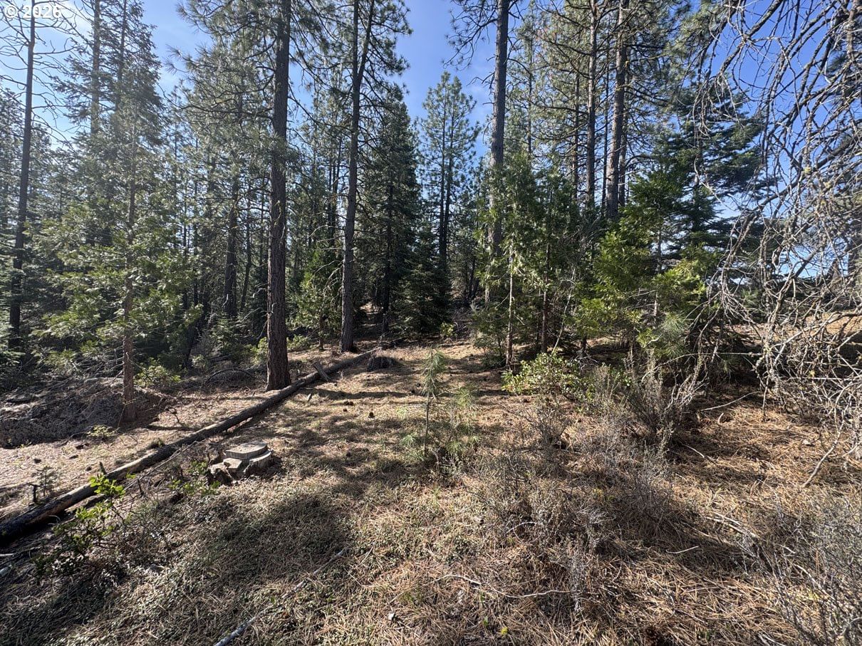 Listing photo 1 of 6