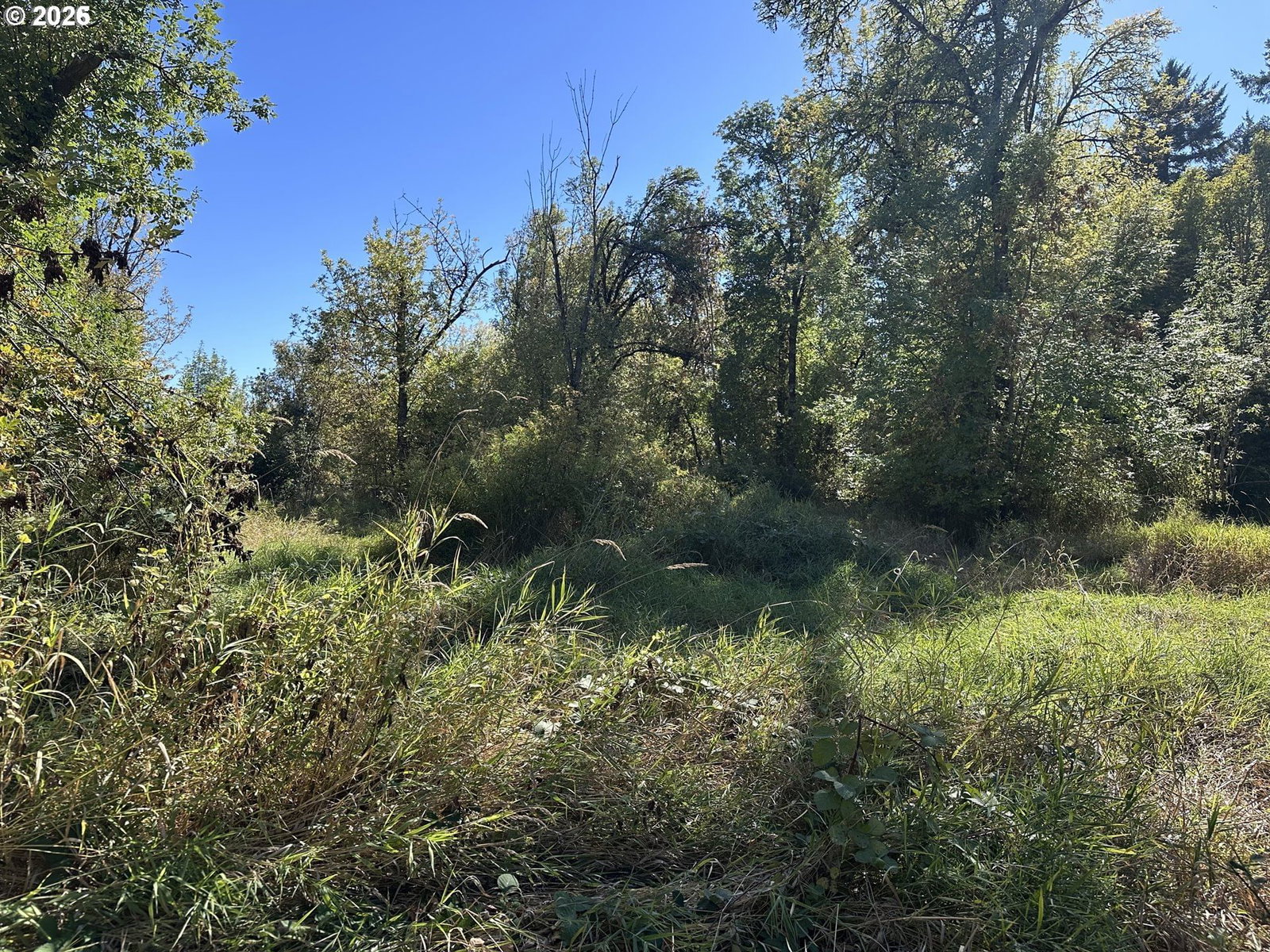 Primary listing photo, 0 Monroe Cemetery RD, Monroe, OR, 97456