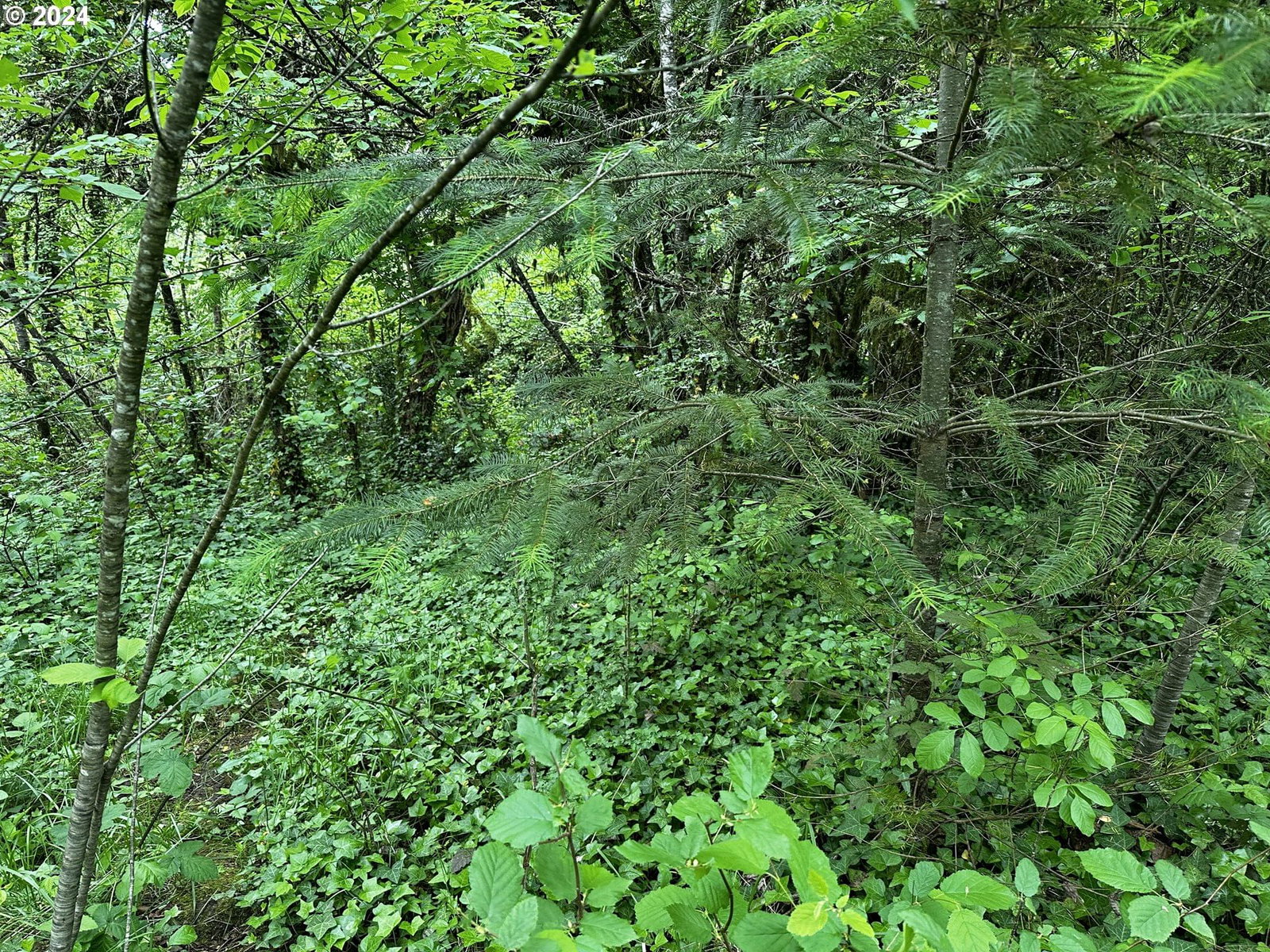 Listing photo 1 of 1