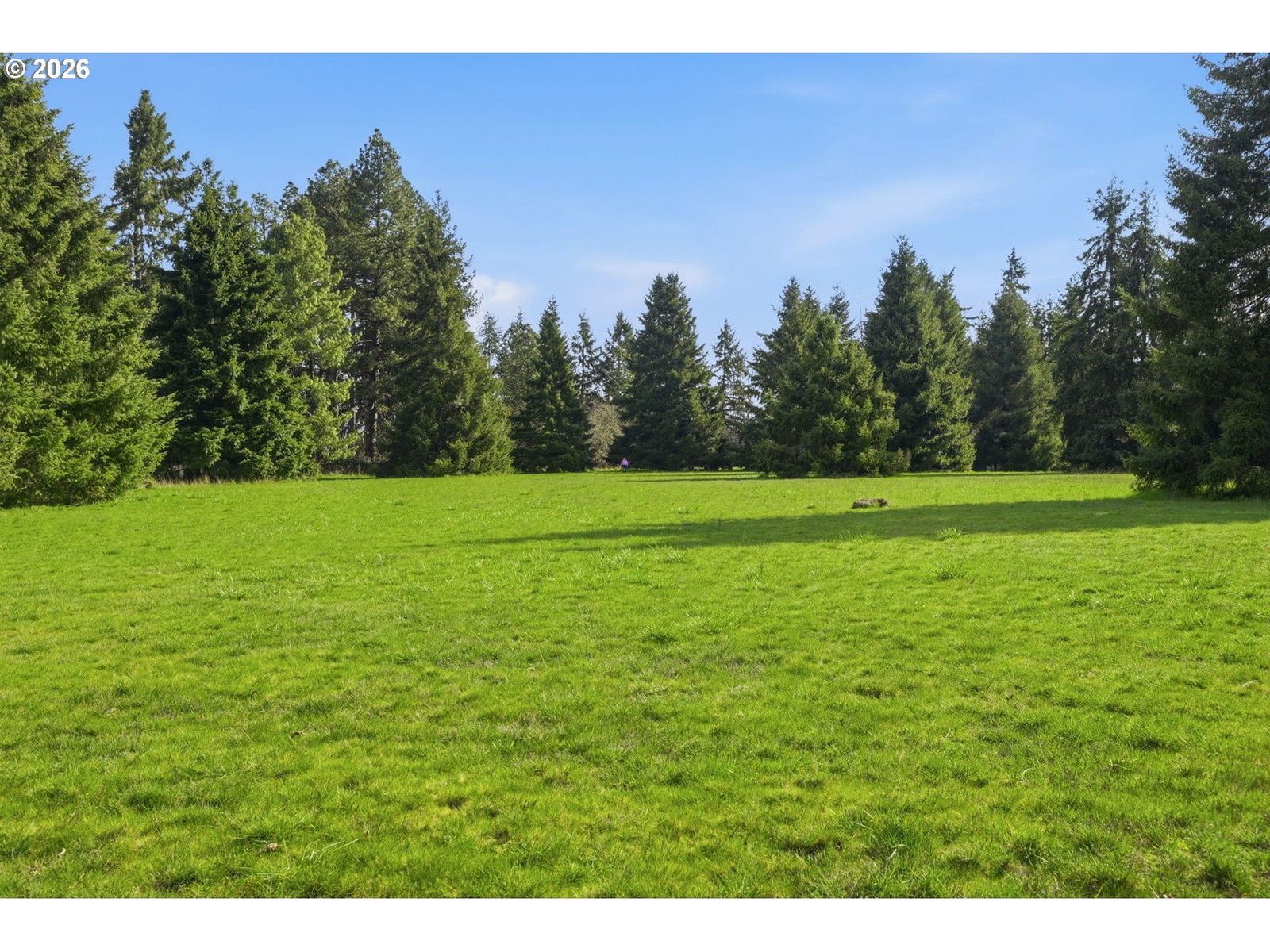 Primary listing photo, 0 Fruitway RD, Junction City, OR, 97448