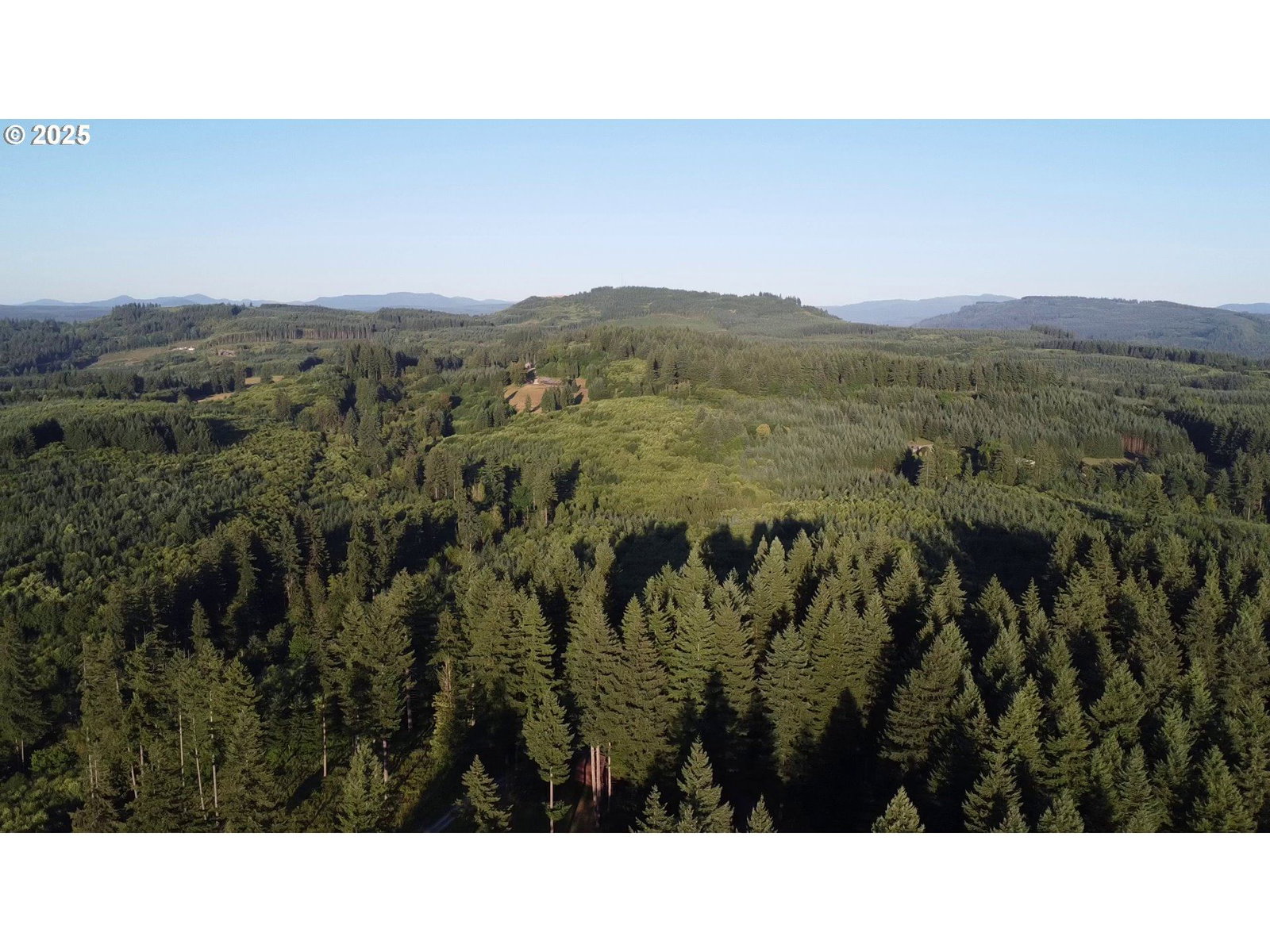 Primary listing photo, 0 NE 171st CT, Yacolt, WA, 98675