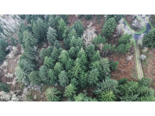 Primary listing photo, HERMAN CAPE RD TL400, Florence, OR, 97439