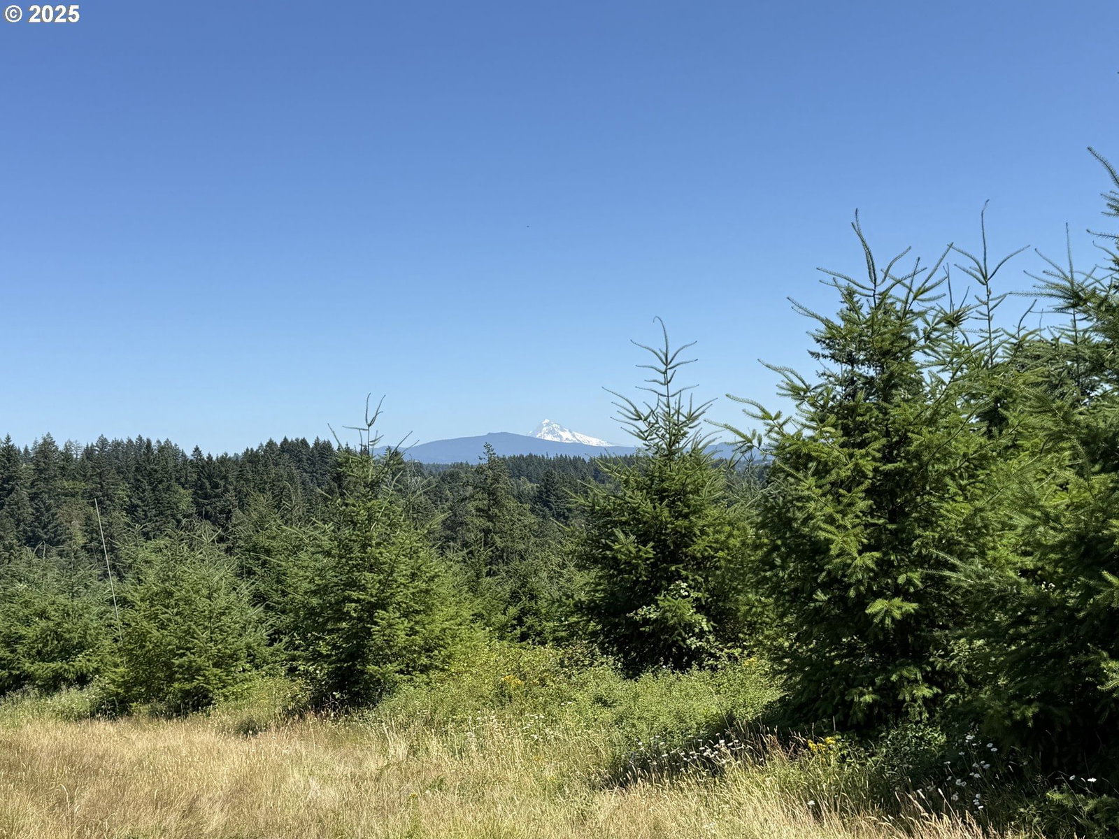 Primary listing photo, 0 NE 277th AVE, Washougal, WA, 98671