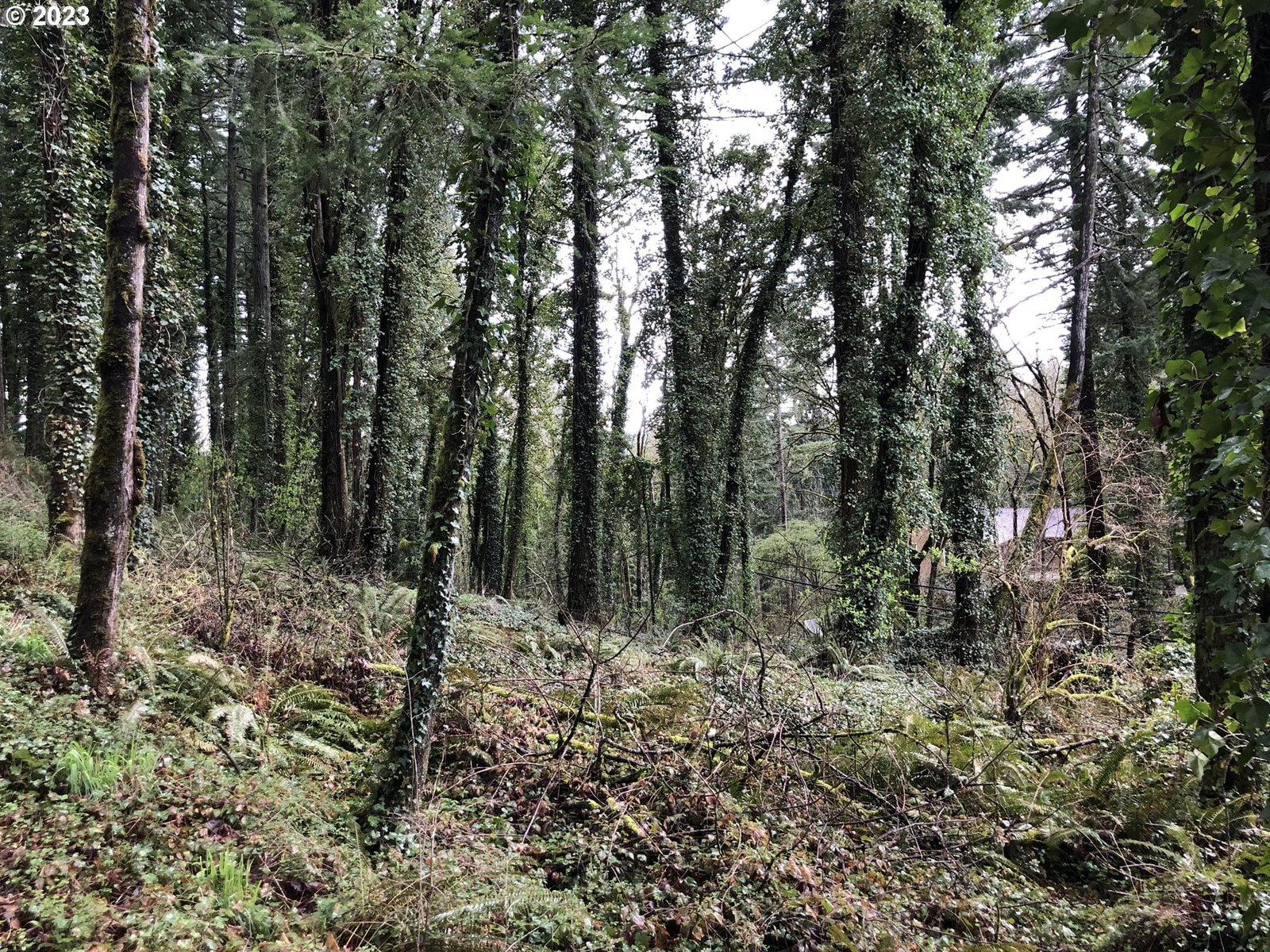 Primary listing photo, 19088 BARTON RD, Lake Oswego, OR, 97034