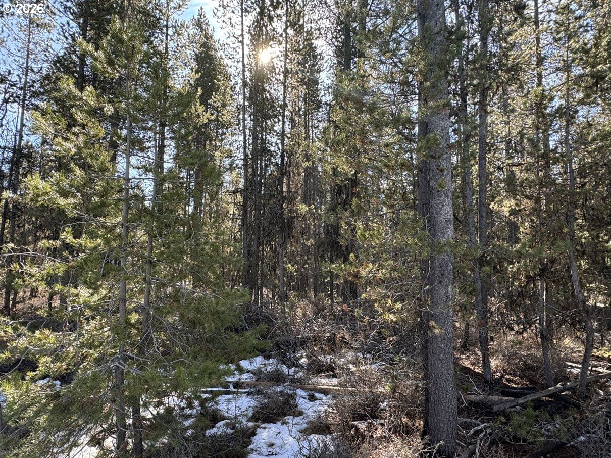 Primary listing photo, Keyser Circle #29, Chiloquin, OR, 97624