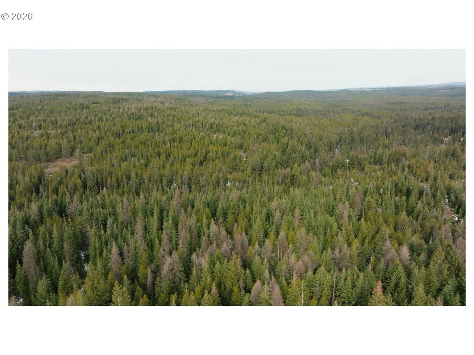 Primary listing photo, 0 Ross rd, Meacham, OR, 97859