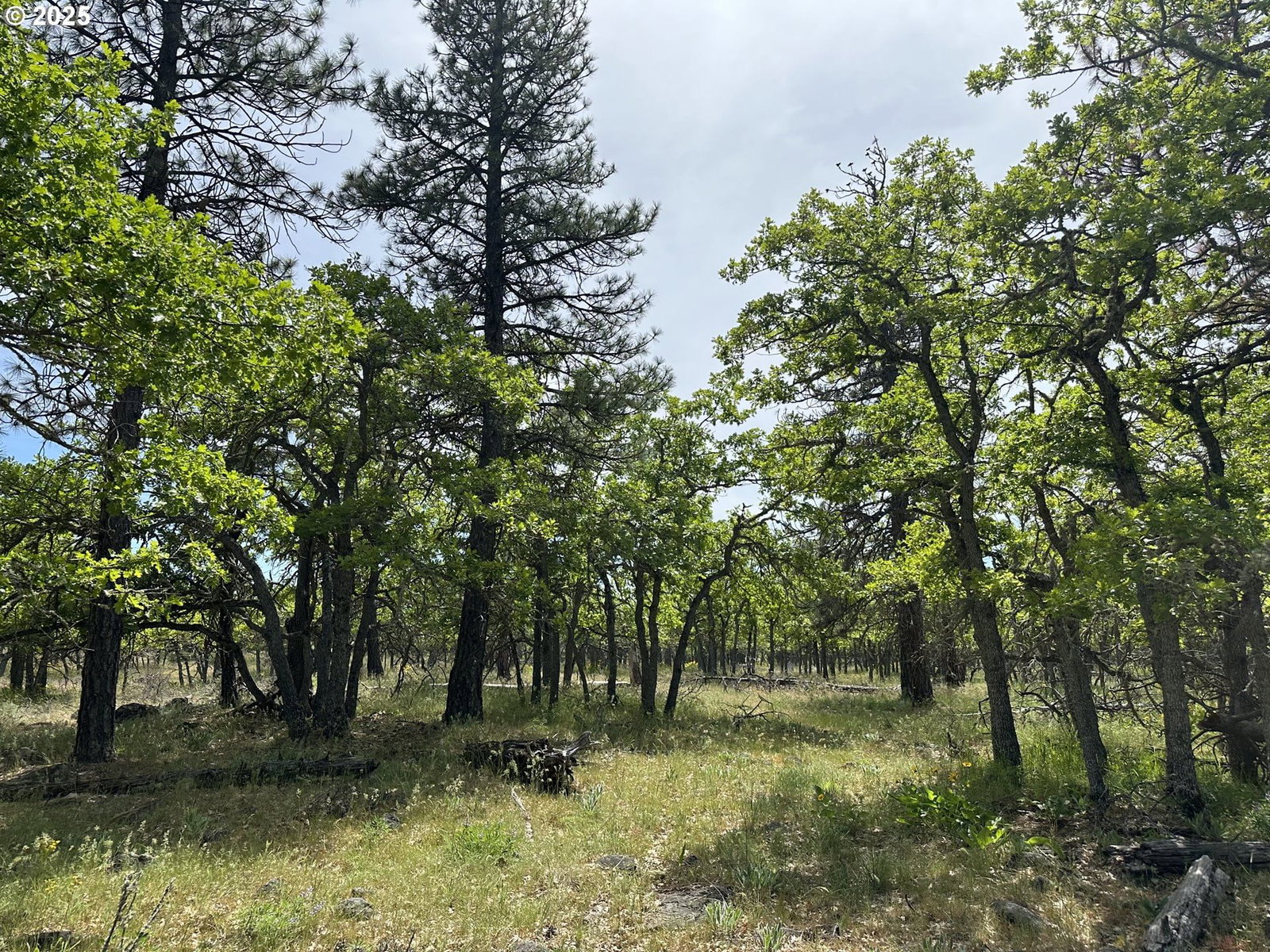 Primary listing photo, D PINE, Goldendale, WA, 98620