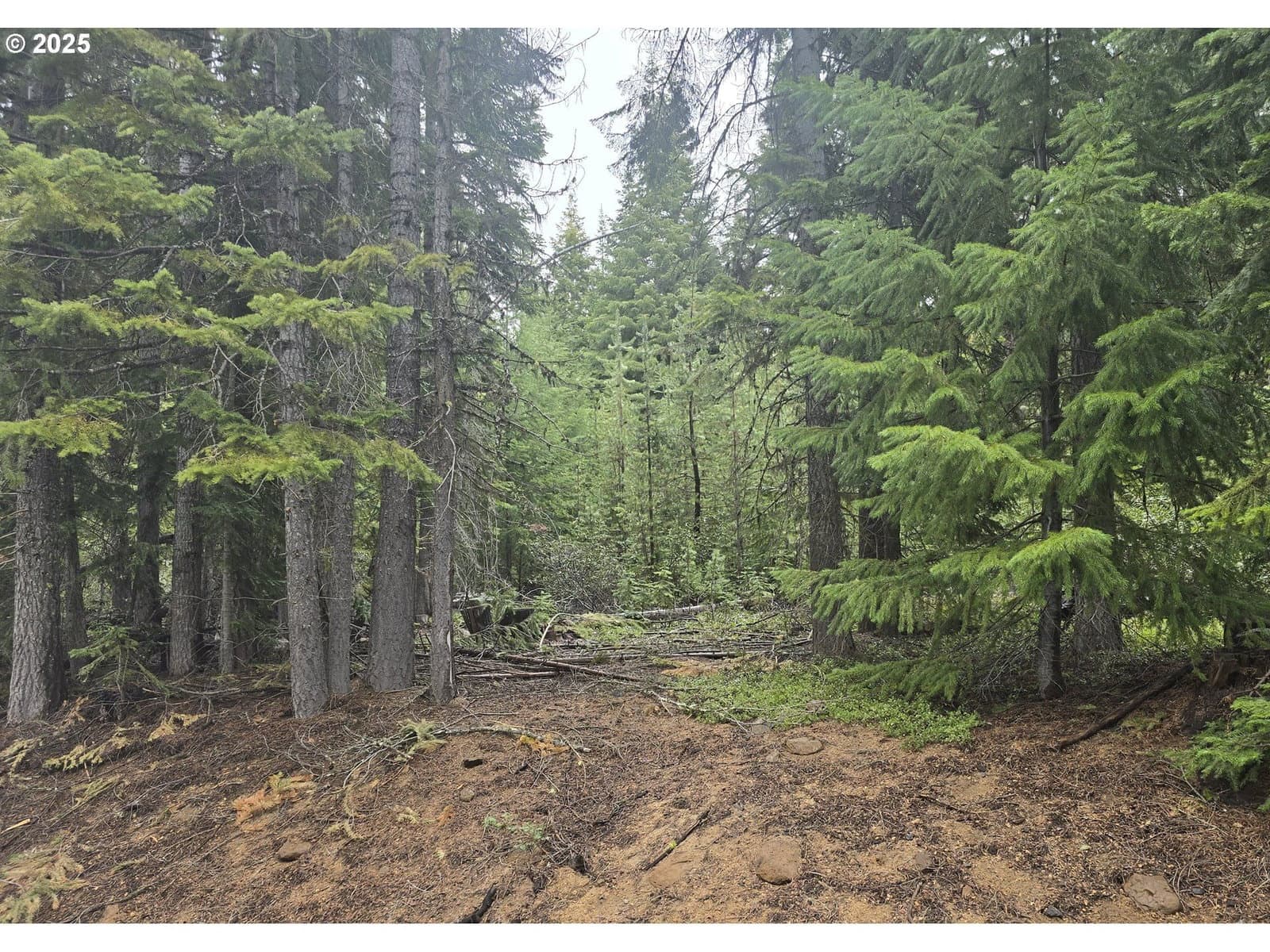 Primary listing photo, 5 Royce Pine, Crescent Lake, OR, 97733