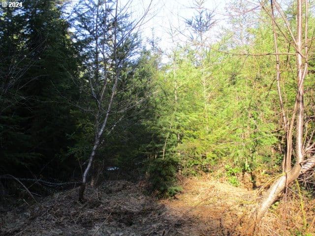 Listing photo 1 of 1