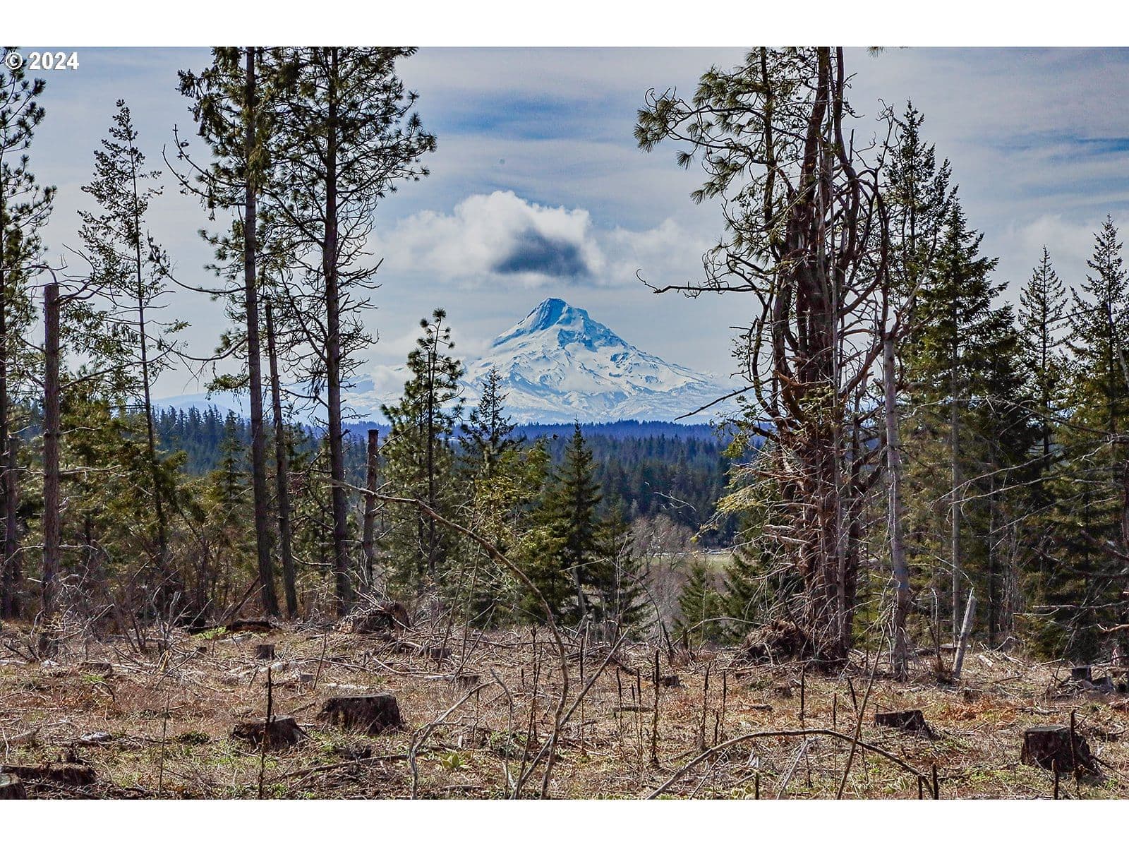 Listing photo 1 of 1