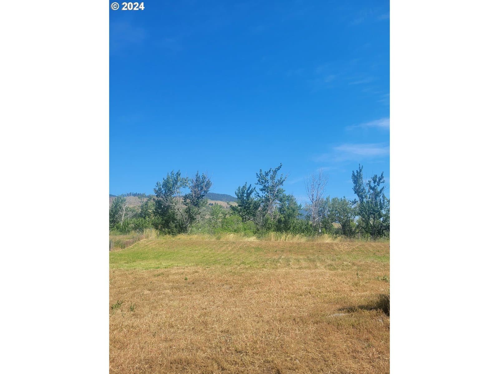 Listing photo 1 of 1