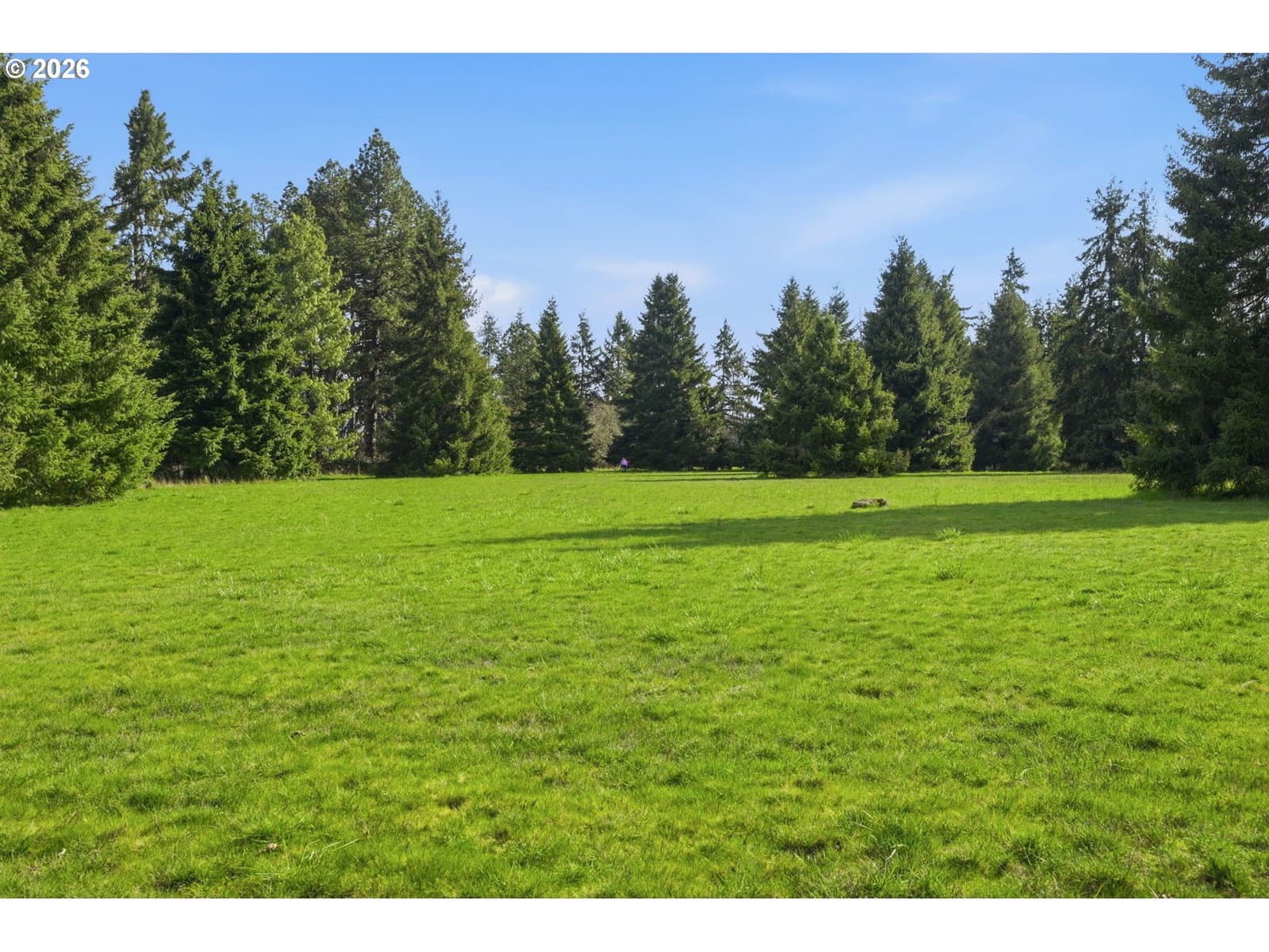Primary listing photo, 0 Fruitway RD, Junction City, OR, 97448