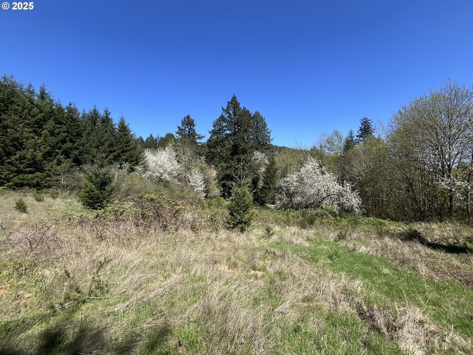 Listing photo 1 of 1