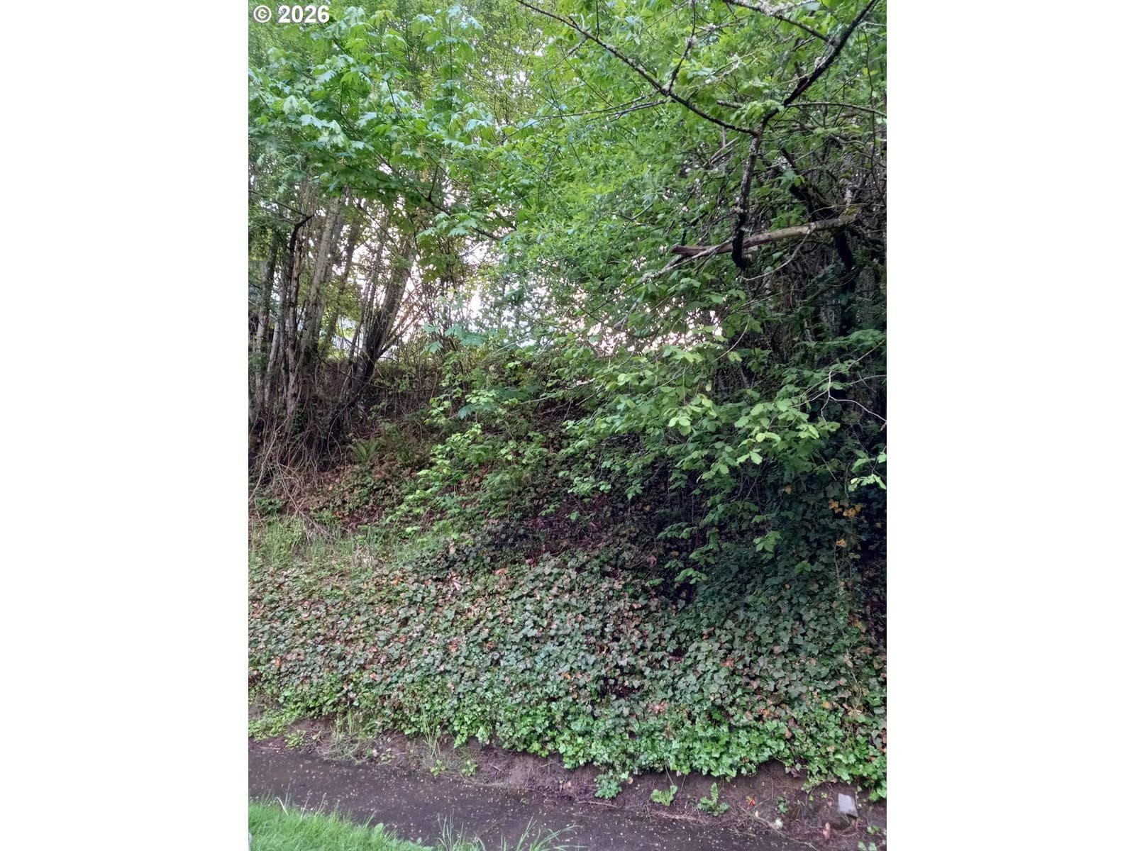 Primary listing photo, 7433 S KELLY AVE, Portland, OR, 97219