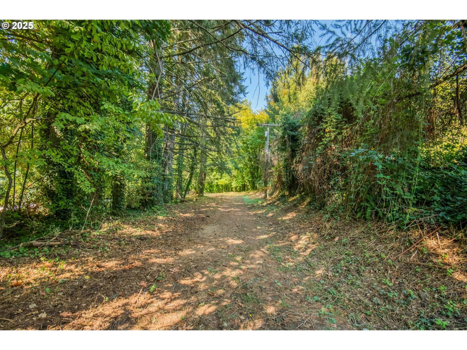 Primary listing photo, 0 Palmer LN, Dayton, OR, 97114