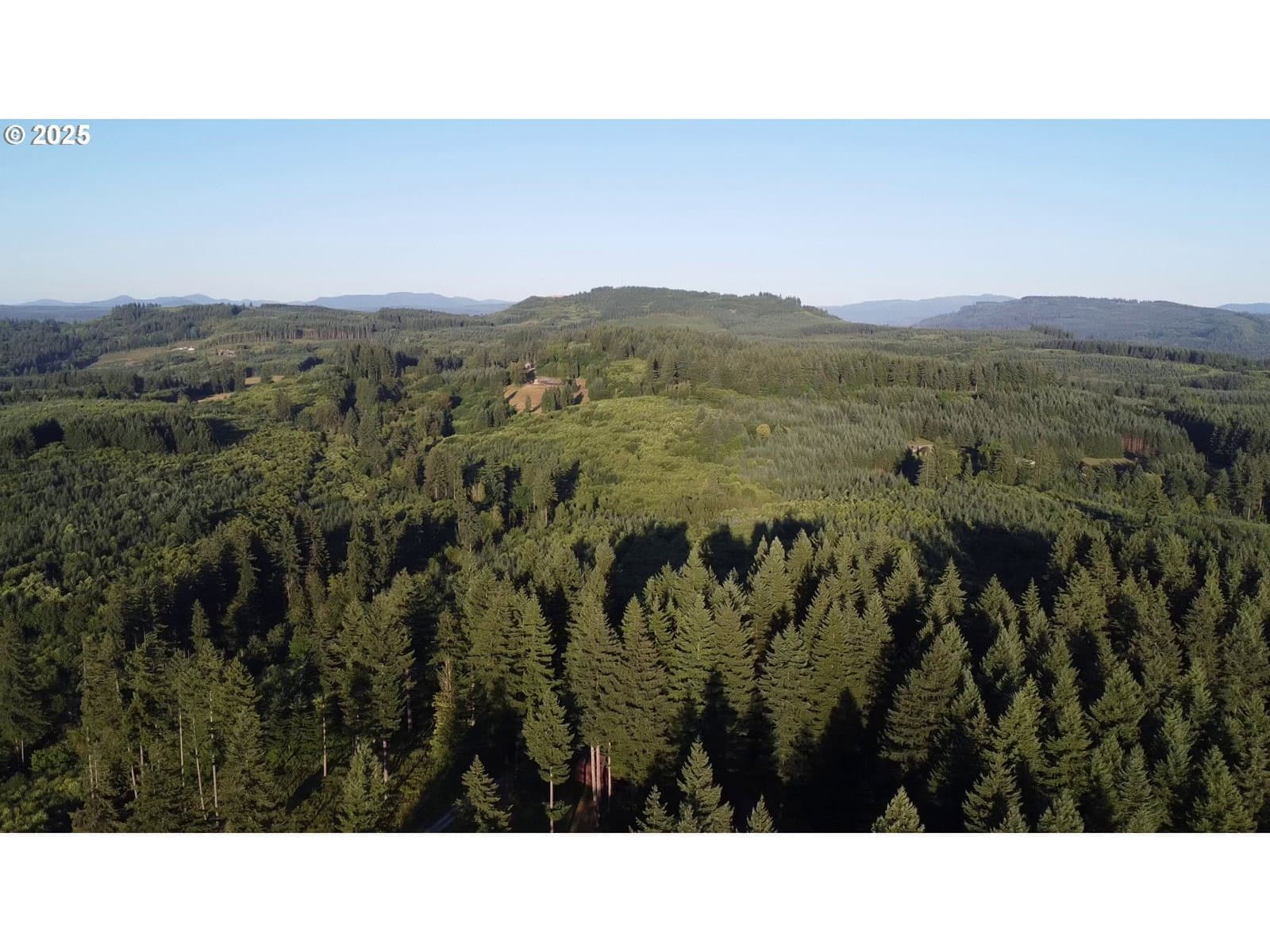 Primary listing photo, 0 NE 171st CT, Yacolt, WA, 98675