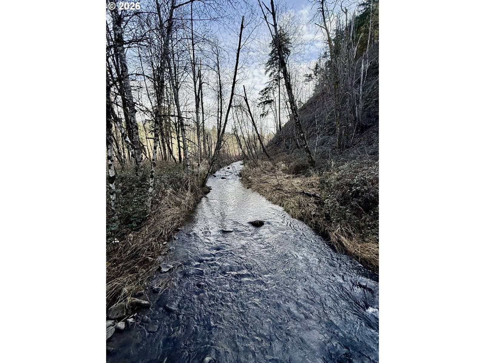 Listing photo 1 of 1
