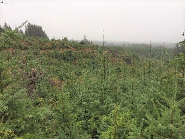 Listing photo 1 of 1