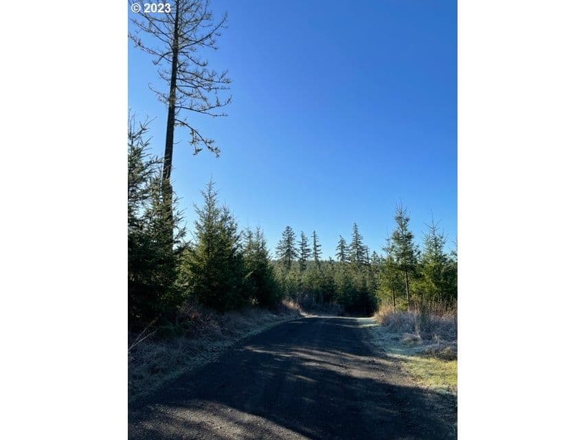 Listing photo 1 of 1