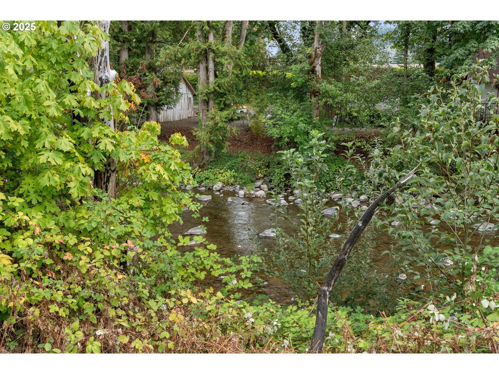 Primary listing photo, 45678 N GATE CREEK RD, Vida, OR, 97488