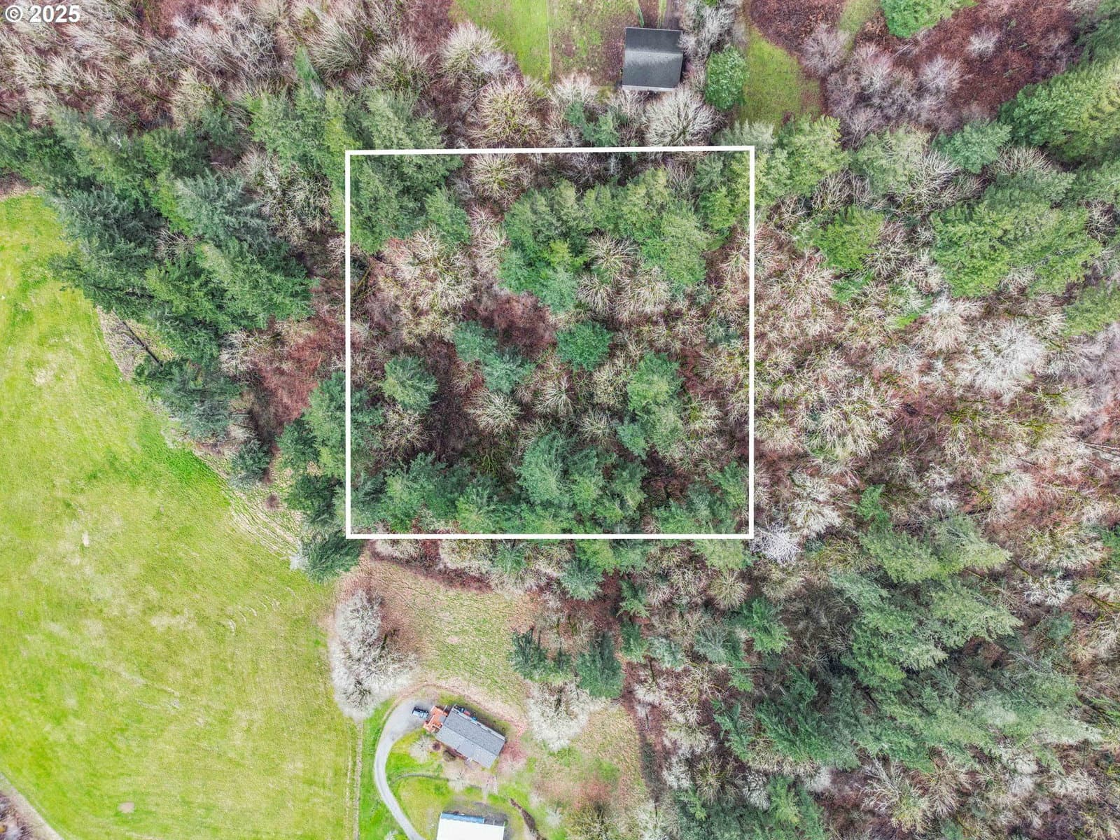 Listing photo 1 of 1