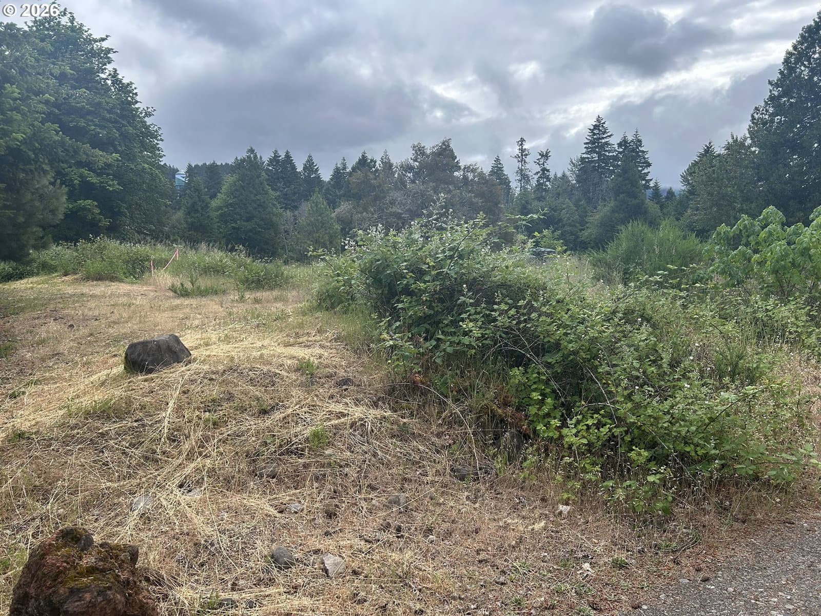 Primary listing photo, 76161 SMOLT LN, Oakridge, OR, 97463