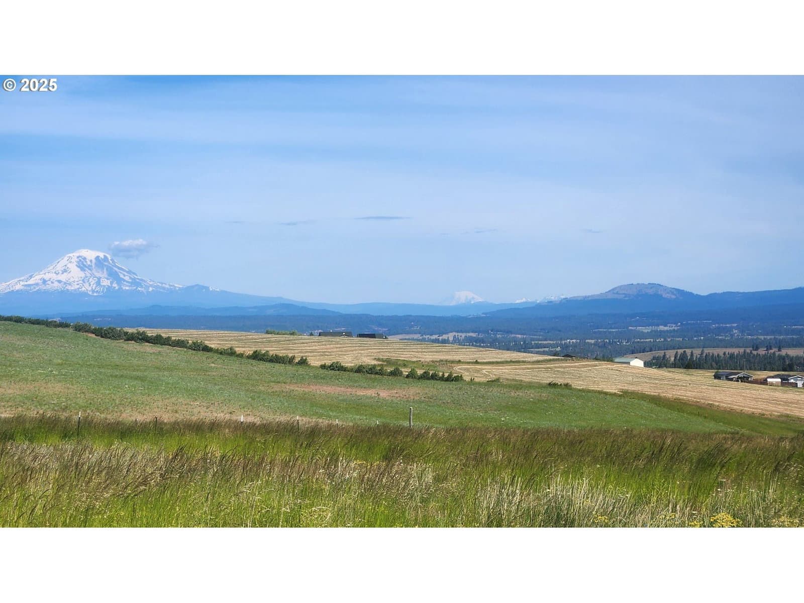 Primary listing photo, NKA Shull Ranch Rd, Centerville, WA, 98613